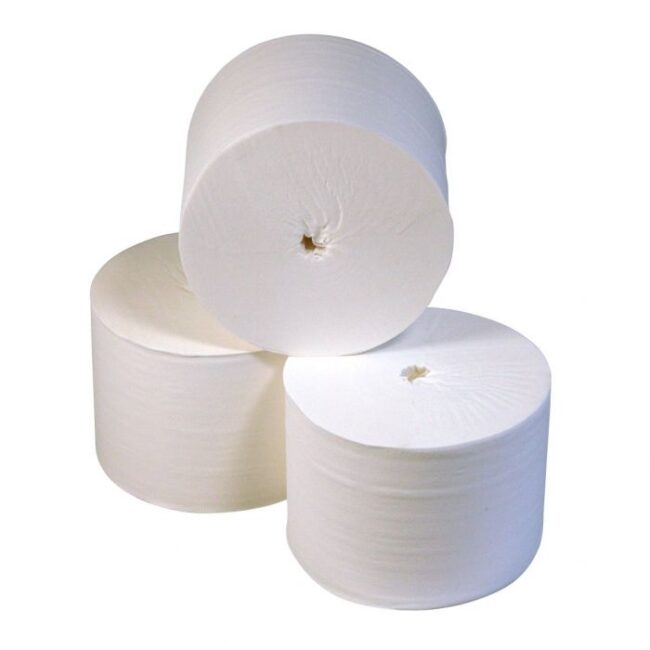 TOILETPAPIER 250202 36 ROLLEN CORELESS 900VELLEN 2LAAGS